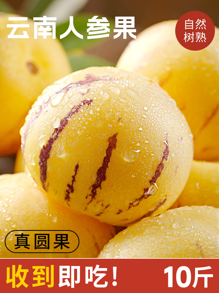 人参果新鲜水果云南石林黄心圆果树上熟七彩人叁果应当季整箱包邮