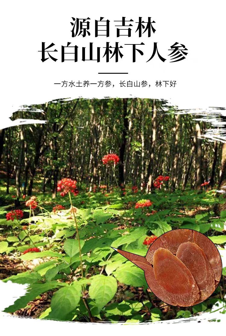 Red Ginseng Slices (Panax ginseng) — 500g Dried Korean Red Ginseng Root Slices from Changbai Mountain overview