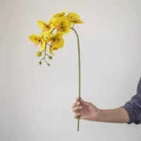 Леопардовое желтое сердце