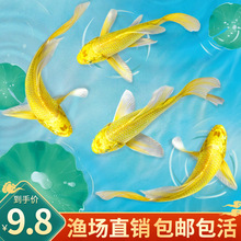 �\���~���~���~�S�����P��ˮ��ˮ�~���B�ͻ��~���^�p�~���w�Lˮ�~