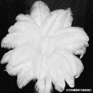 ���S���l�Ϸ��r�Bë45-50cm�֗U�r�Bë��ë����ë��ɫ�r�B��ë