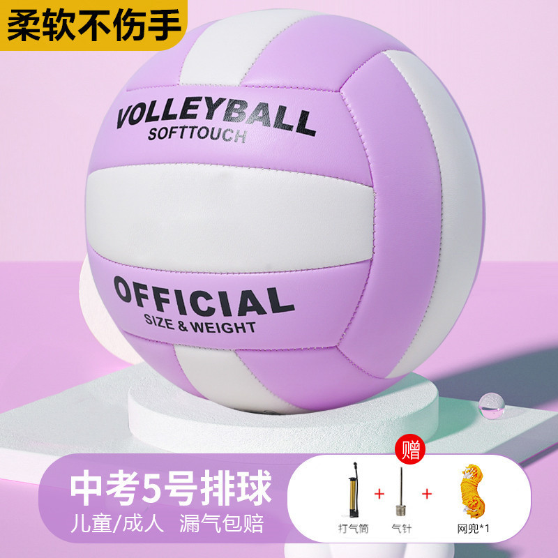 5호 고등학교 입시 라일락 [방폭형 두꺼워짐] 에어펌프 + 메쉬백 + 에어니들