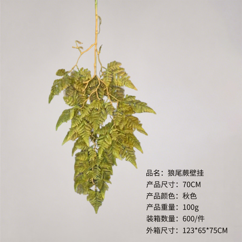 详情图