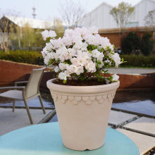 ��Խ�β������̖Ī�����ϱ��W���s���ìF���Ӻ�Nֲ��������