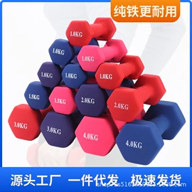 哑铃;壶铃