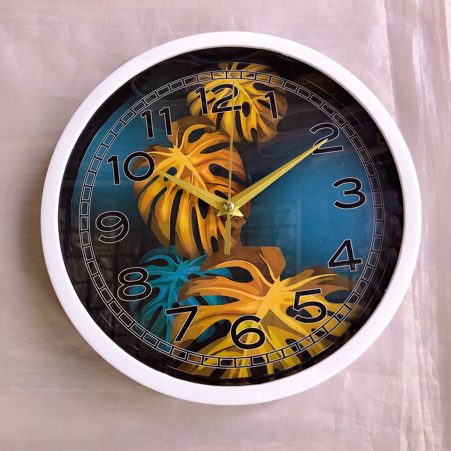 IMG_6648(20210726-132847)