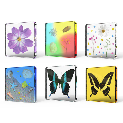 onshine real plant insect specimens resin bugs amber butterflies making children's observation science toys