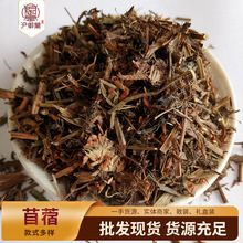 ��ș�����l �t܇�S �t���~ 1�� �t����ޣ ���~�� �t܇�S��