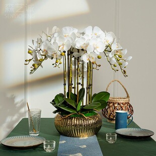 PU�ָб����֧�����m��ˇ�ٻ��ܸɻ��廨���b[�O�[��