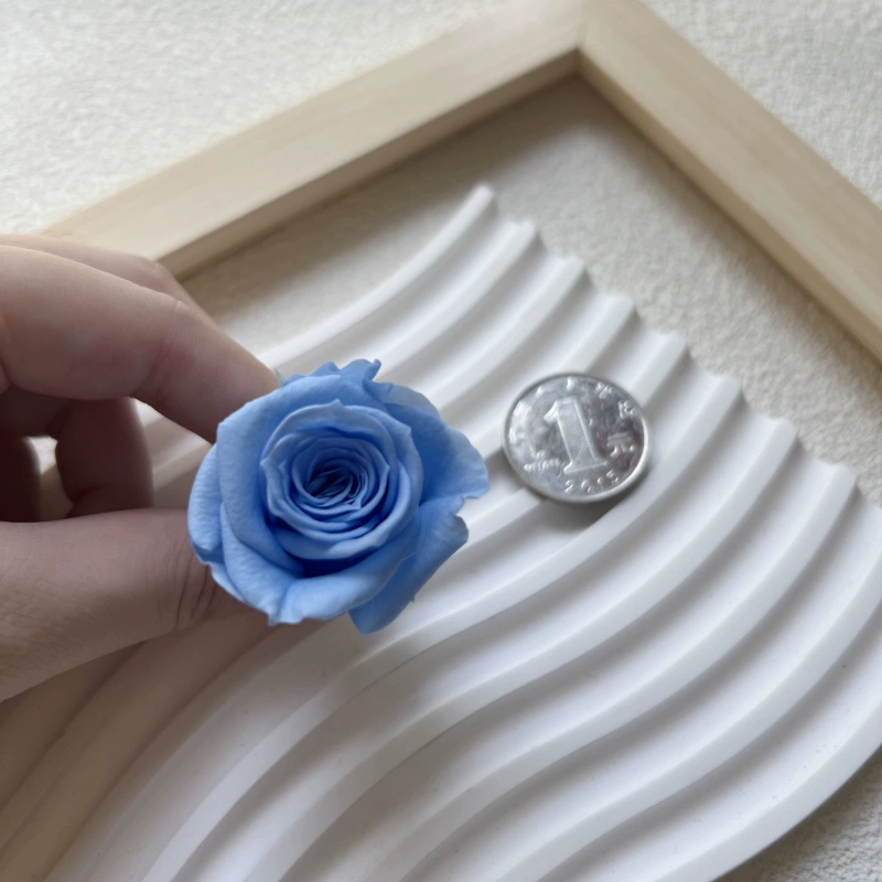 Материалы для DIY вечной жизни цветка, класс B, голова вечной розы 2–3 см, маленький брелок-розочка с основным материалом