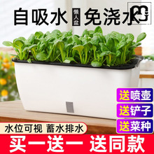 宏耀种菜神器花盆栽蔬菜种植箱家庭阳台塑料自吸水懒人长方形专用