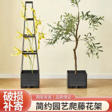 枝晓种植箱室外花园花盆自动浇水番茄笼室内植物攀高方形花盆跨境