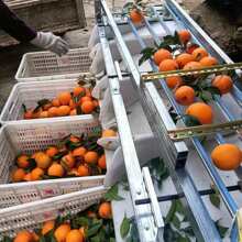 �¿�Ě�ȷּ��C������x���C�����}Ů���Y�x�Cɽ髺��ҷ��x�C����