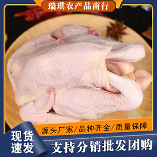 ��S���] �r��ɢ�B���S�u�������uͯ���u��ֻ���r�ߵ��u���u�u��