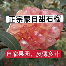 云南蒙自石榴正宗水晶薄皮甜石榴孕妇新鲜水果包邮非突尼斯软籽