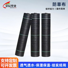 ������@���ݲ� �r���w���ֲ��ڲݲ� ͸��͸ˮ���ϻ��ز����l