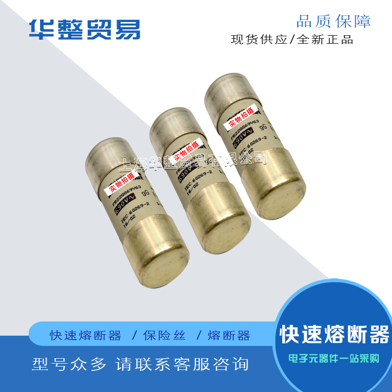 供应FR22GG69V8 FR22GG69V10 FR22GG69V12全新原装巴斯曼熔断器