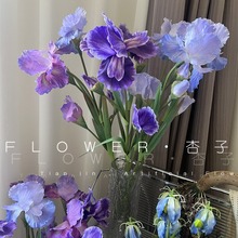 3d打印鸢尾花仿真花蓝紫色爱丽丝超逼真软装空间美陈家居摆件婚礼