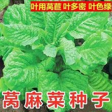 ~n˷Nļﶬ߲˷NӈAuCA~uZ