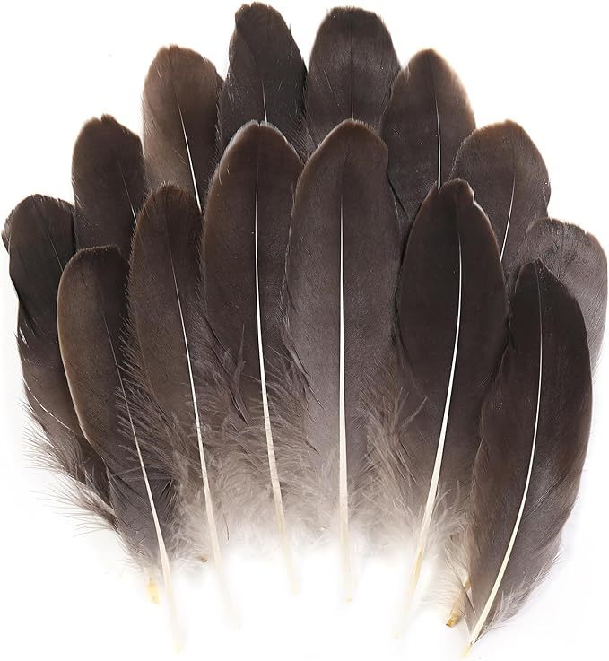 Fabricantes lotes plumas de ganso blanco natural plumas DIY artesanías accesorios de ropa de boda accesorios de decoración artesanal image 19