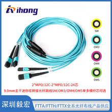 2*MPO/12C-2*MPO/12C-24о 9.0mm���������|�D�ӹ��w����SM/OM3