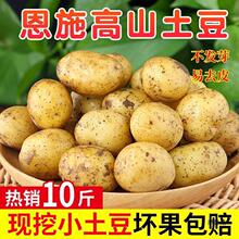 恩施小土豆10斤包邮富硒新鲜洋芋迷你黄心士豆湖北马铃薯蔬菜