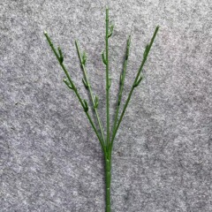 多機能通用の小さい束の花の枝の竿のプラスチックは花の枝の部品の手作りのdiyの枝の植物をシミュレーションします。