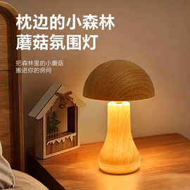 室内壁灯;化妆镜;小夜灯