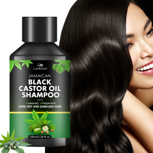 Cross-border Brightening Shampoo Repair Dry Hair Improve Hair Irritant No-Wash Nourishing Shampoo