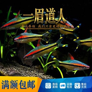 һü�����~�tü�~�^�p�Ꭷ�~һü�~Ⱥ�Ο��~�ݸ׌���ˮ����w���p