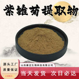 紫锥菊提取物10:1药食同源水溶性粉末紫锥菊多酚量大从优现货包邮