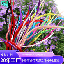 义乌厂家直销单边丝羽毛天鹅毛工艺装饰羽毛diy染色彩色羽毛