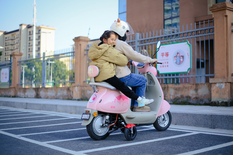 Electric Vehicle Auxiliary Wheels, Anti-Fall Wheels for Electric Bikes, Balance Wheels for Electric Bicycles, Anti-Slip for Adult Beginners Riding