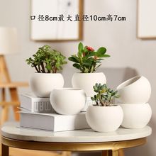 6���b���⻨���մɺ��s����С���·��β�ɫ�̨���⻨��һ��
