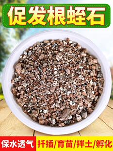 ��ʯ�������w���B������Ǥ�����������|�����¼������I�B�����B��