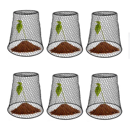 Amazon Iron Plant Protection Cover Garden Dome Seedling Fruit and Vegetable Protection Cage Raising and Maintenance Tool