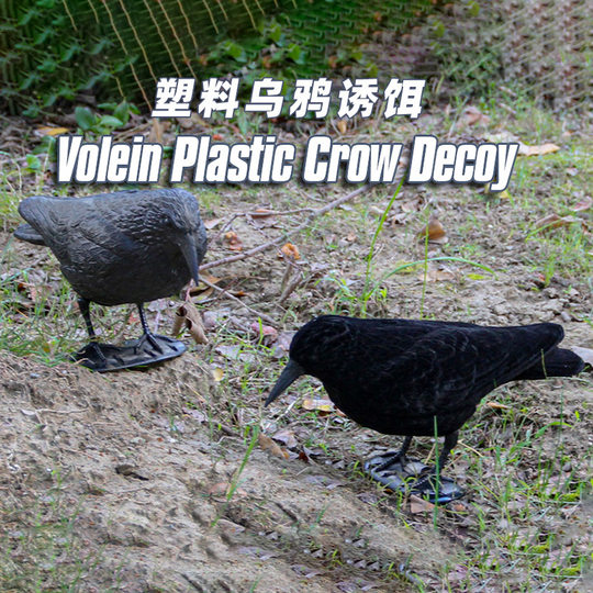 Cross-border simulation crow bird repellent ornaments Halloween natural decoration garden props rat catcher creative crafts