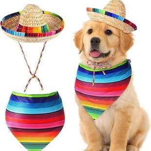 Mexican Porch Goose Clothes Set 23inch Decoration Set Pet Cat Dog Mexican Hat