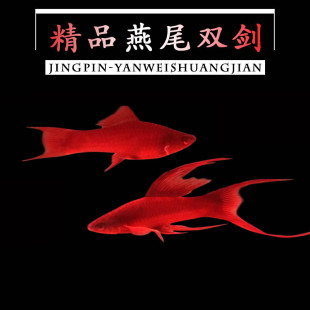 ��β�~�Ꭷ�~�^�p�~���~���w�����Pβ�~�����~�t�������R�t�G��