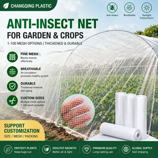 ���x�W�r���߲˴����i�����ω�羳40Ŀ60Ŀ�ɷ��i�����Ӻ���x�W