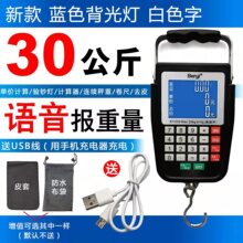 带语音充电计价手提秤电簧秤快递秤行李称迷你钩称便携买菜秤