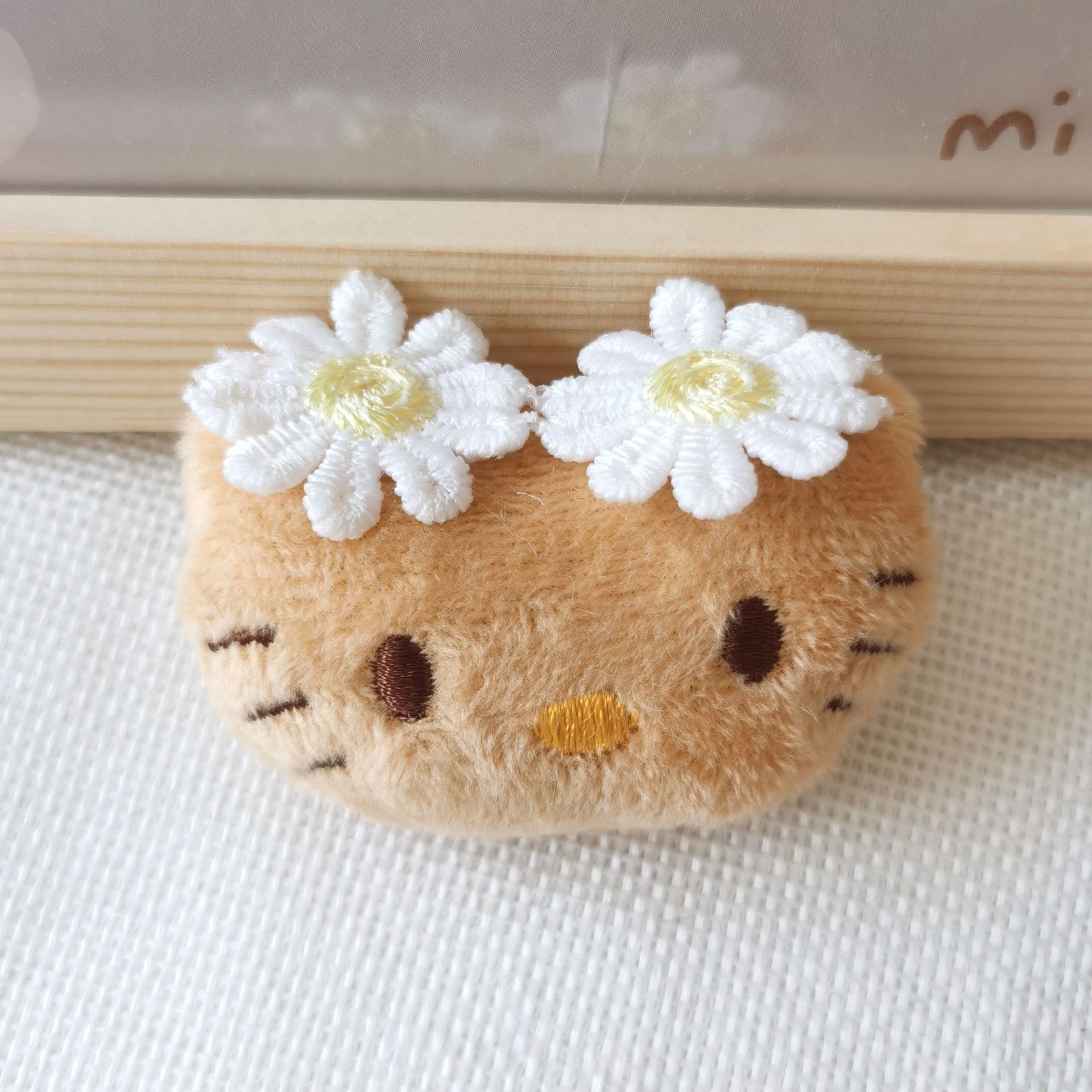 다크 브라운 고양이 데이지