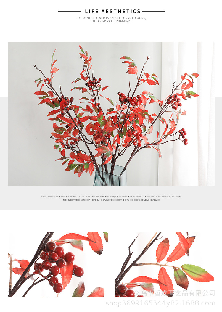 O1CN01HmjNnD1Fz9Grm3iRz_!!9481