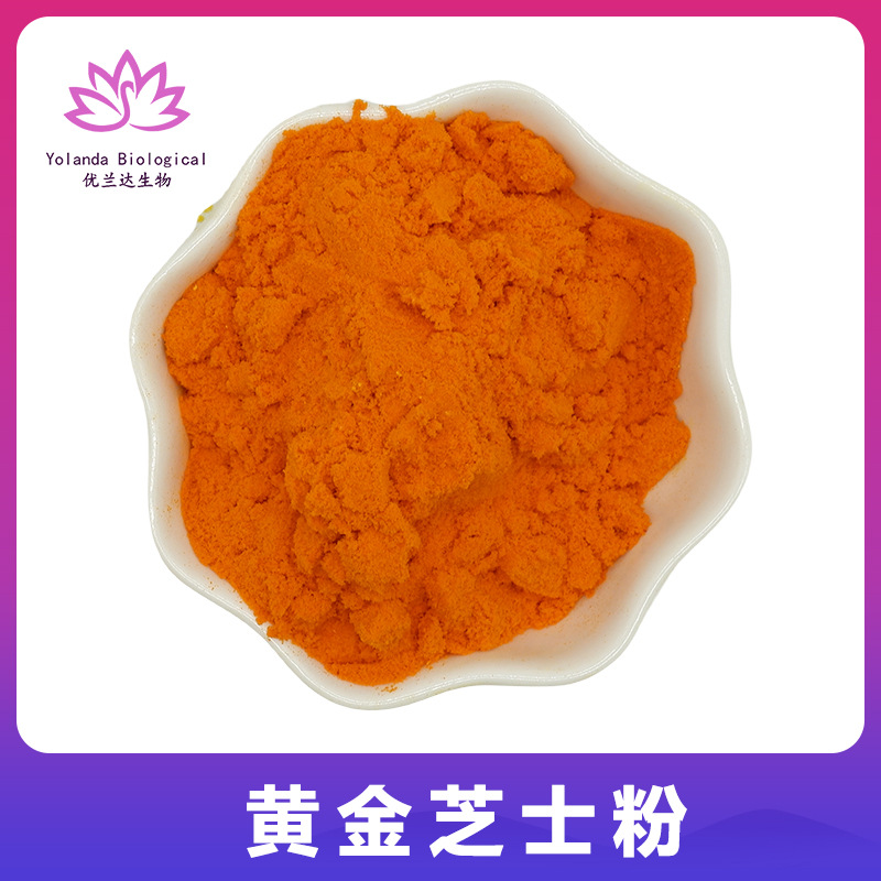 黄金芝士粉99% 乳酪粉干酪粉起司粉 蛋糕面包夹心酱料 烘焙原料