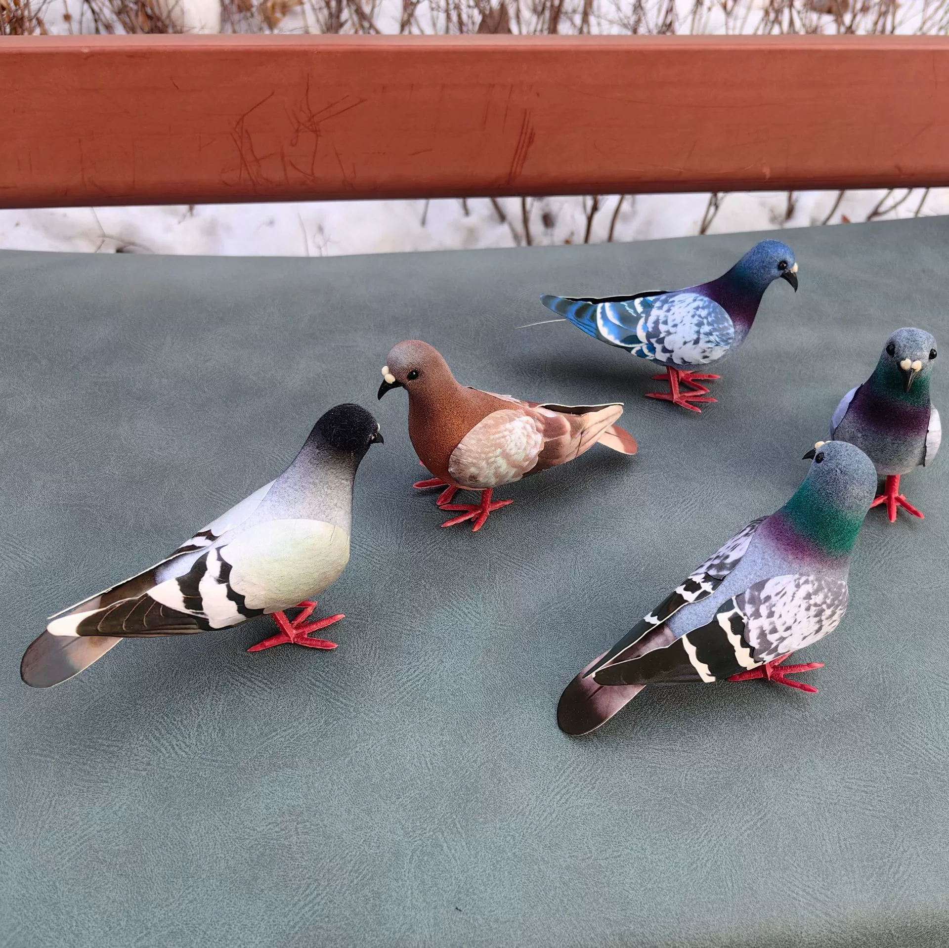 Моделирование диких голубей | Горлица | Флокировка голубей