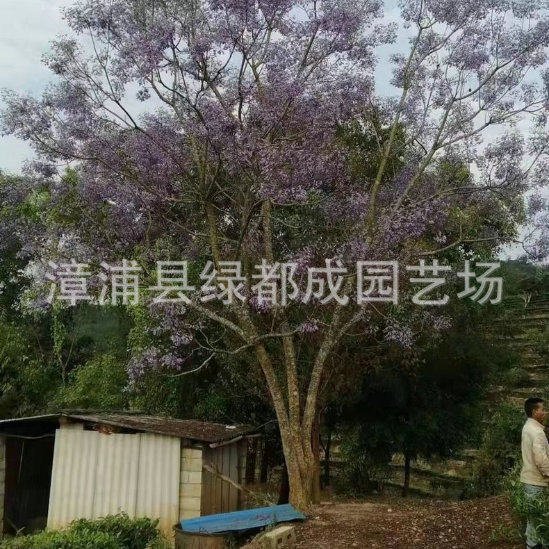 发布供应商品 - 1688.com 全球领先的采购批发平台