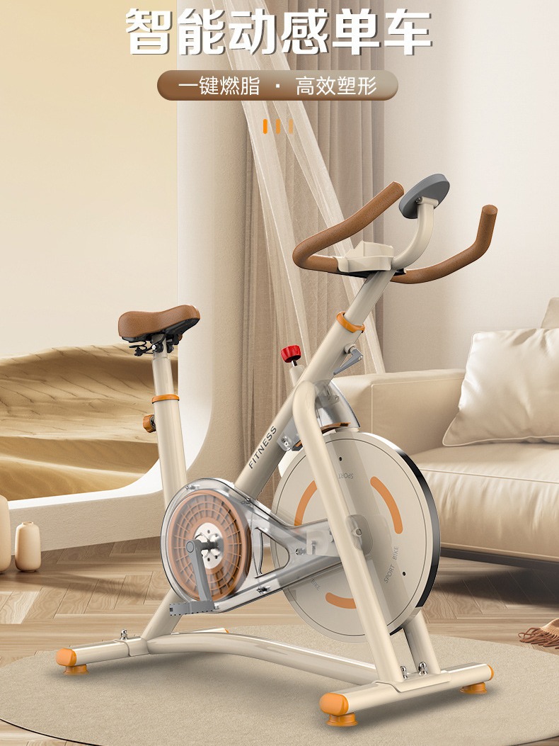 Inteligente de la quema de grasa bicicleta dinámica de control magnético casa Ejercicio de interior equipo de fitness pérdida de peso mudo bicicleta deportiva