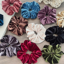 �ﶬ�¿��n���z�q���c�lȦ���s���|�����^Ƥ��߼����Rβ�^�K�l�