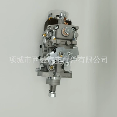 0460423010 Diesel Engine Yanacaq injektoru (Forsunka)
