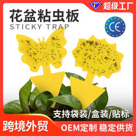 跨境粘虫板工厂定制外贸OEM异形黄板果蝇诱捕器昆虫陷阱亚马逊